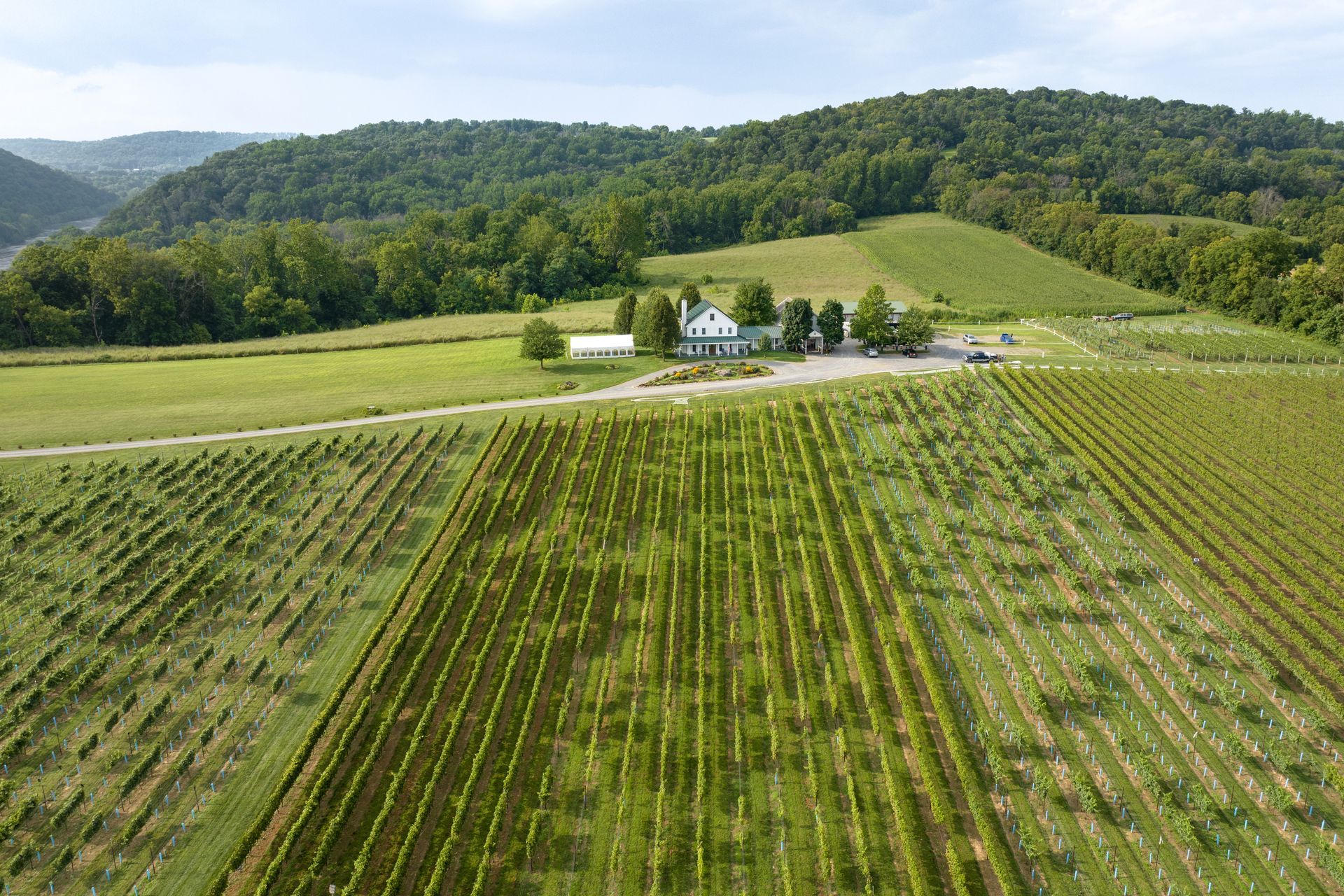 Aerial photo of Villa Milagro Vineyards by Pocono Drone Photography