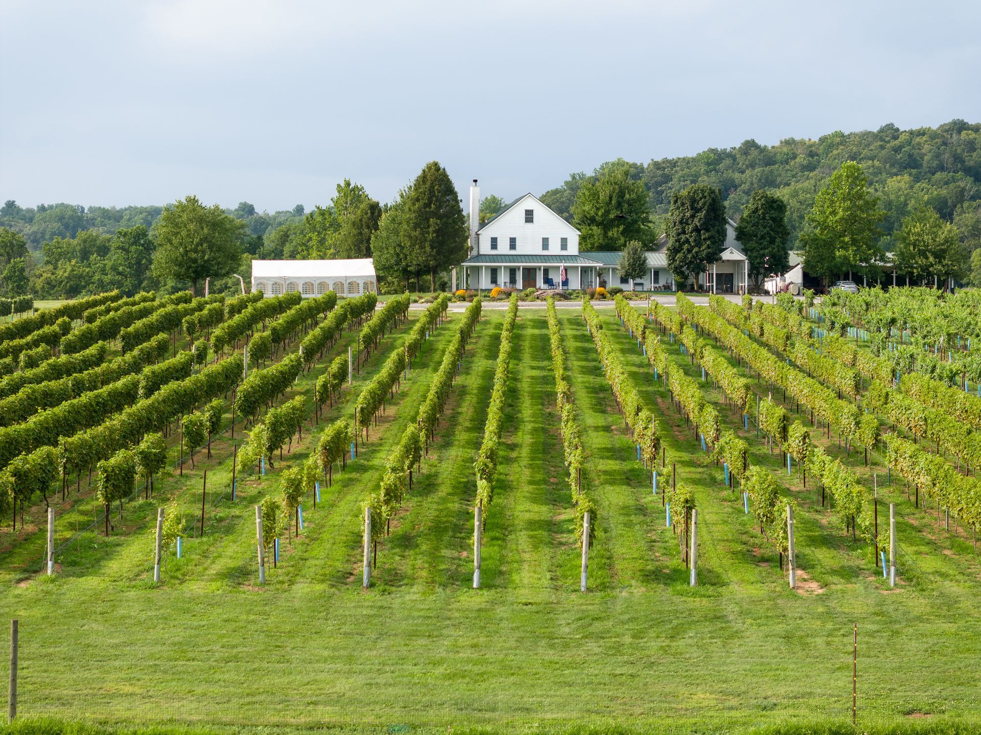 Aerial photo of Villa Milagro Vineyards by Pocono Drone Photography