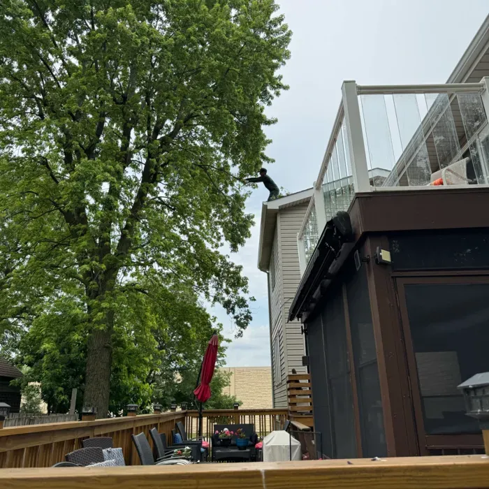 Person on roof near tree and house with glass railing; outdoor deck in foreground.