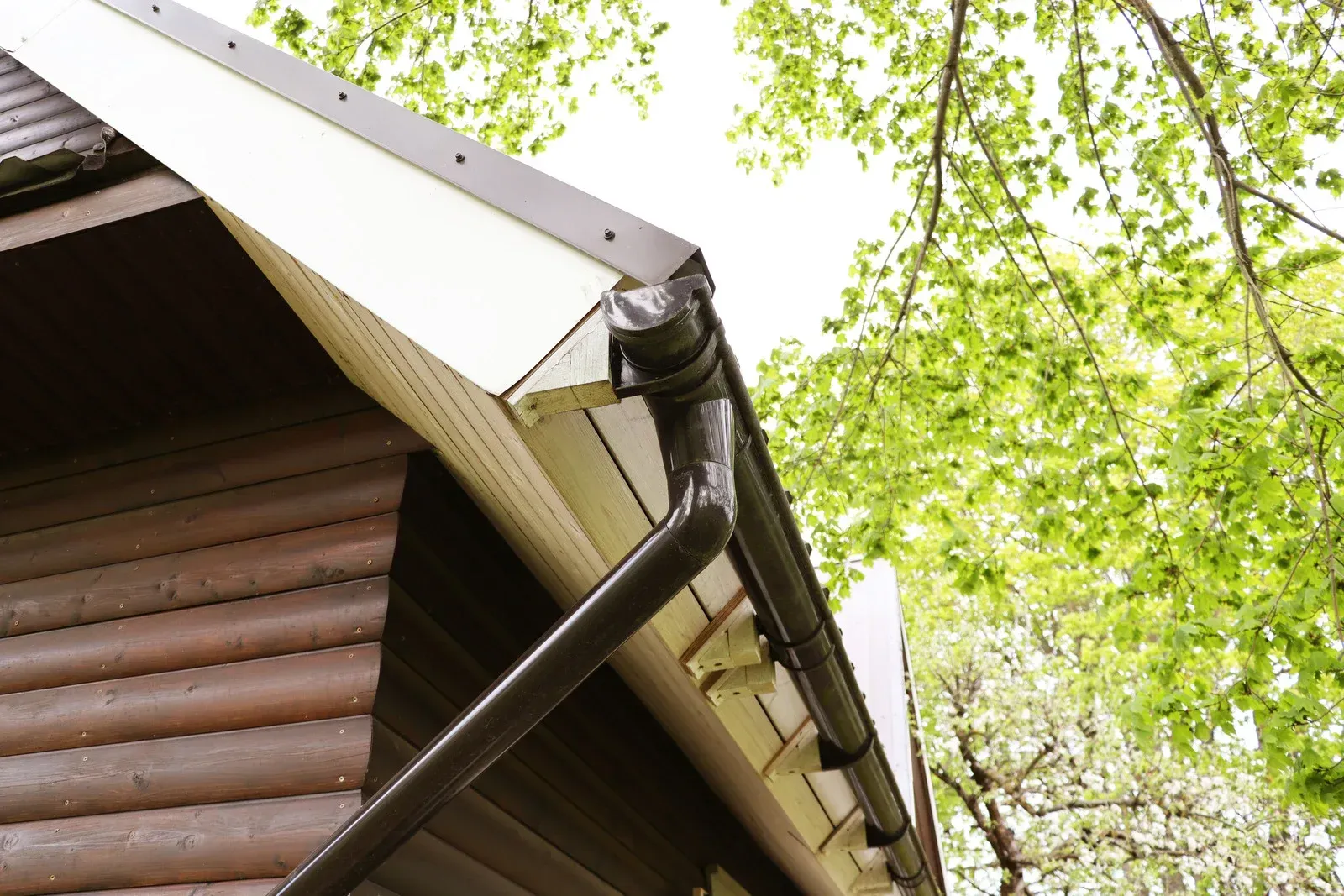 Brown gutter on a wooden house with white trim, green tree backdrop.
