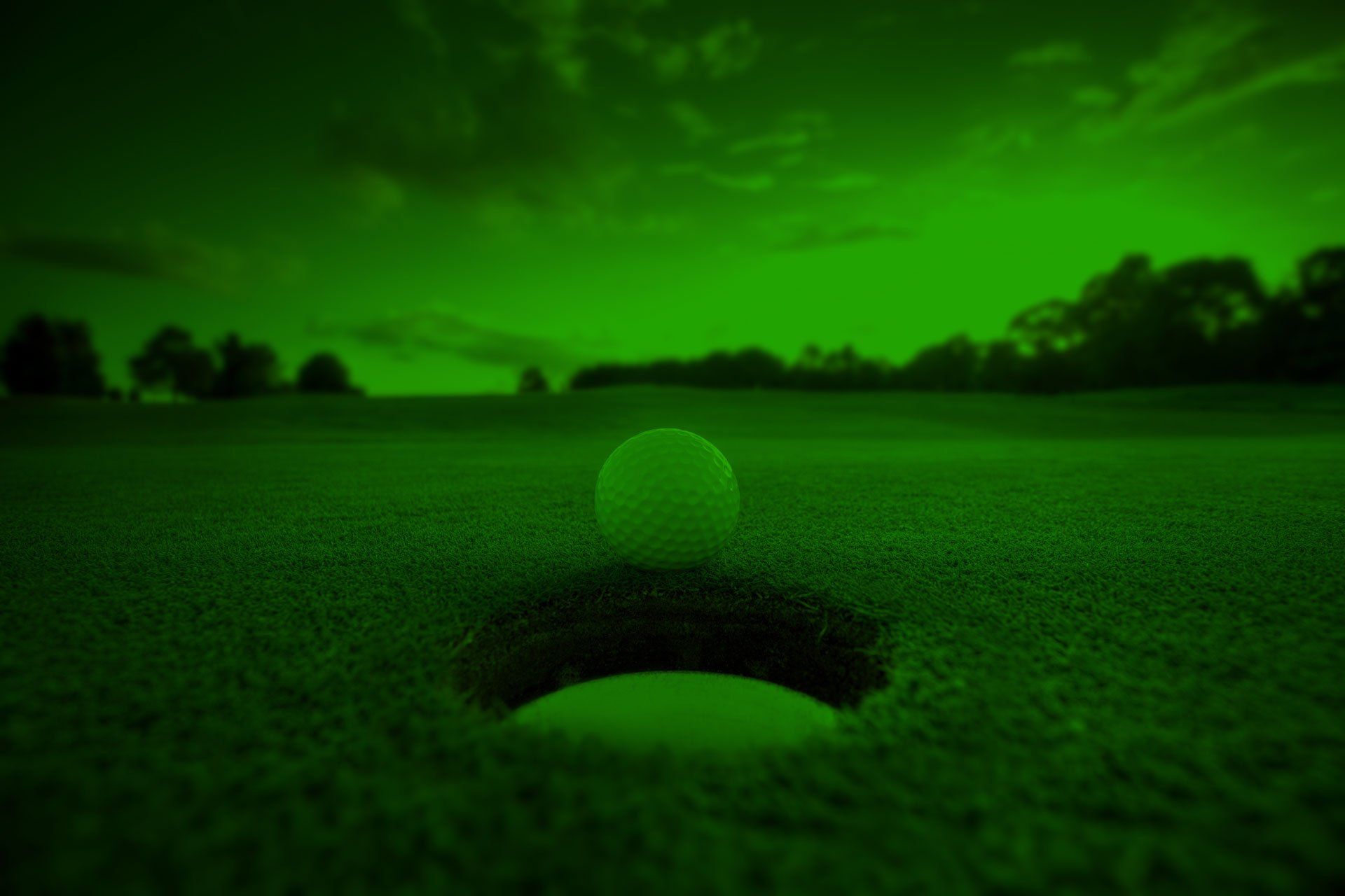 4 Seasons Golfofwausau - Photo 6