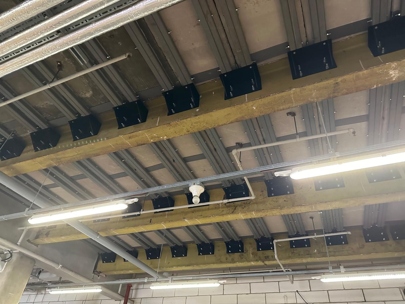 A RAAC ceiling with a lot of pipes and lights hanging from it.