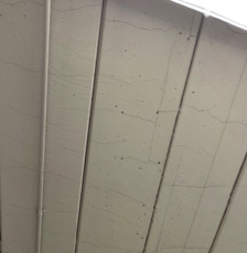 Close up of RAAC celiling