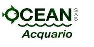 OCEAN ACQUARIO