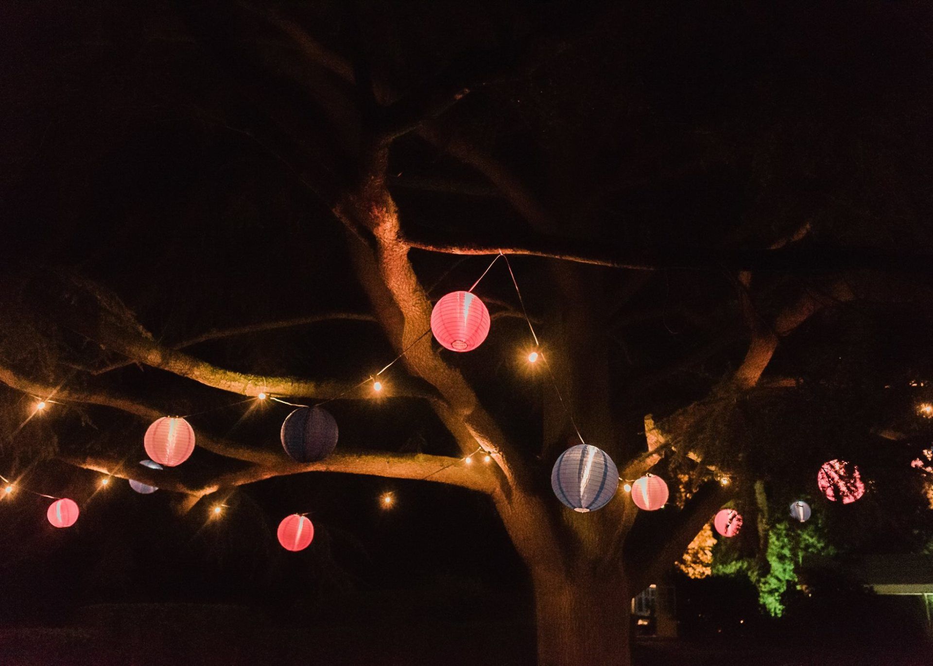 A tree with lanterns and lights hanging from it at night.