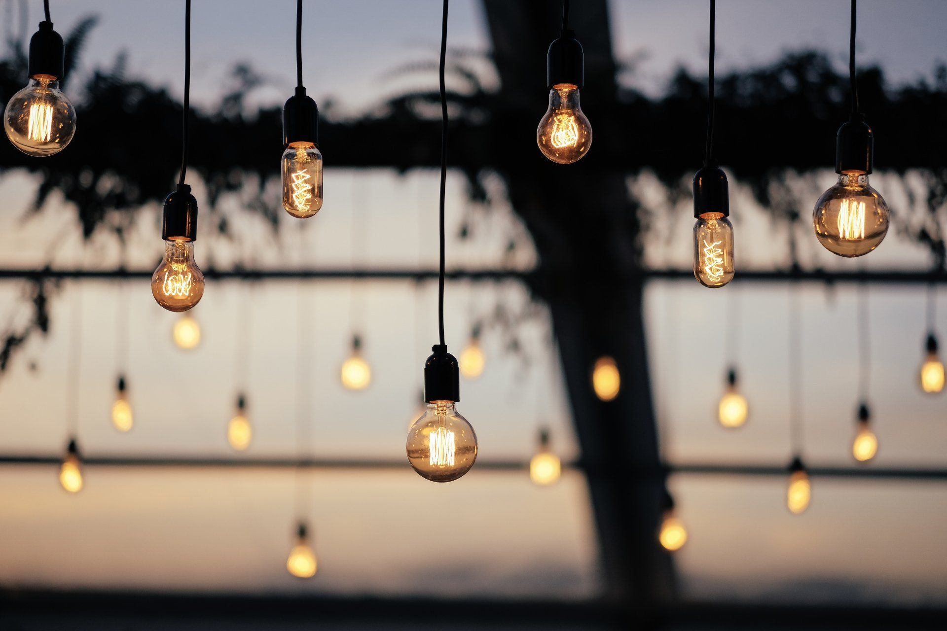 A bunch of light bulbs are hanging from the ceiling.