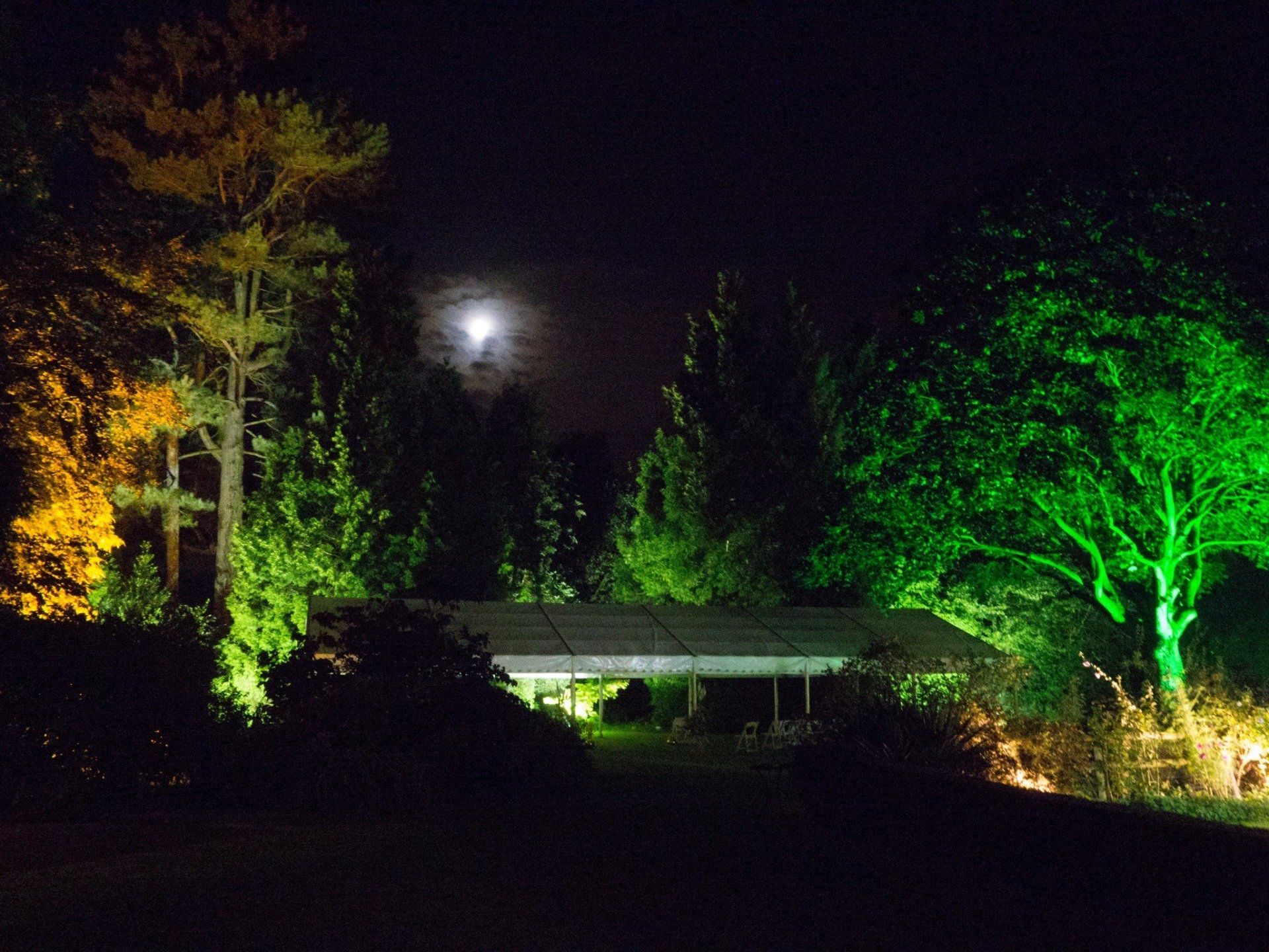 A tent is lit up at night in the middle of a forest