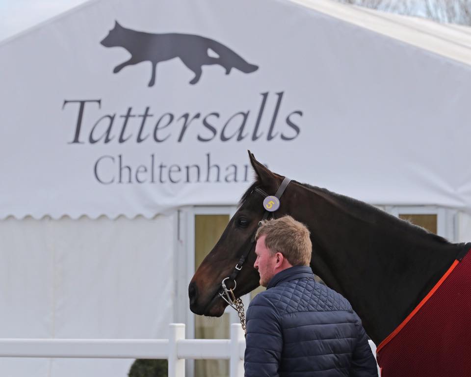 A man standing next to a horse in front of a tent that says tattersalls