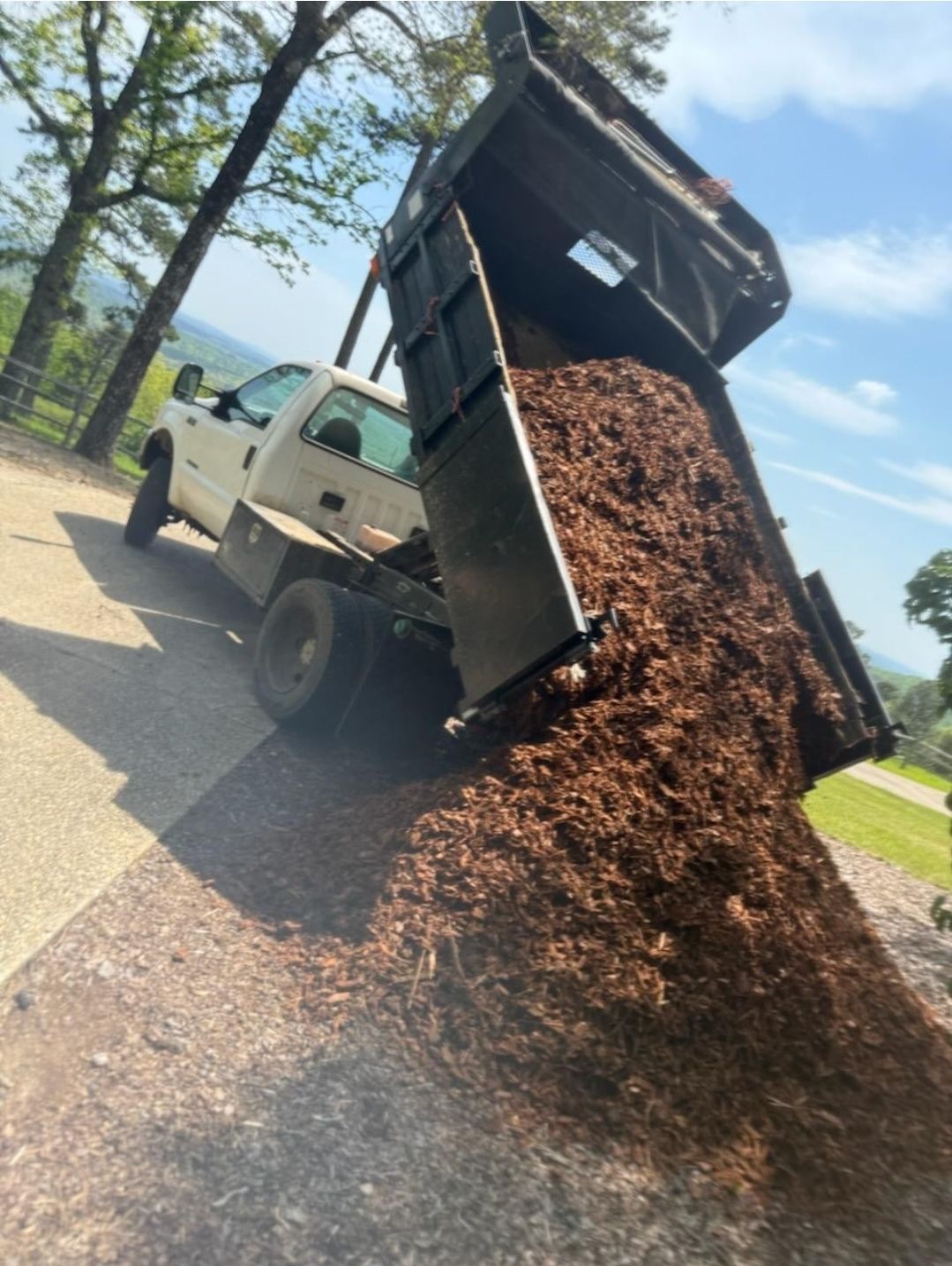 A dump truck is dumping a large pile of mulch