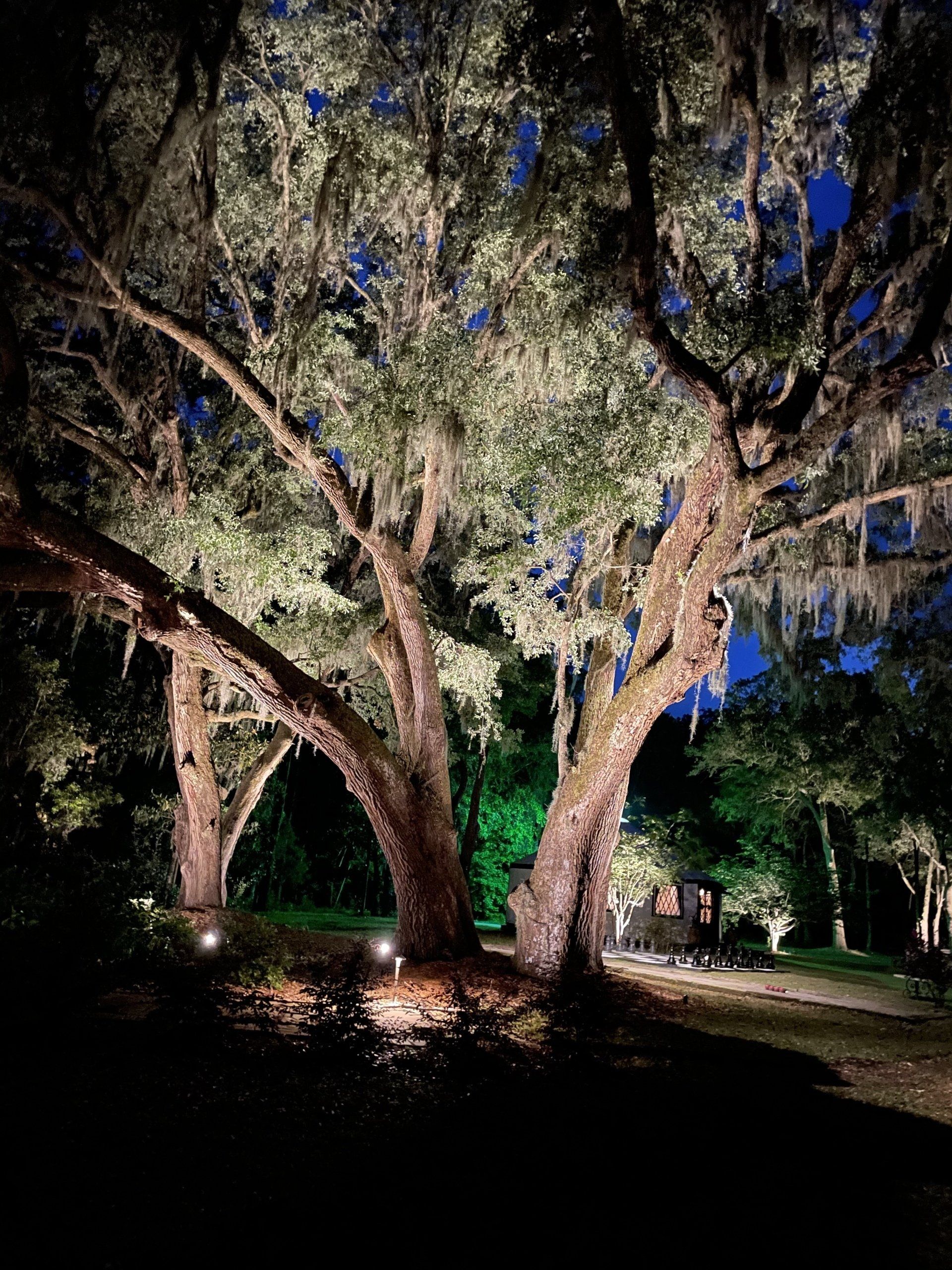 Charleston SC Outdoor Wedding Venue Hart Meadows Ranch