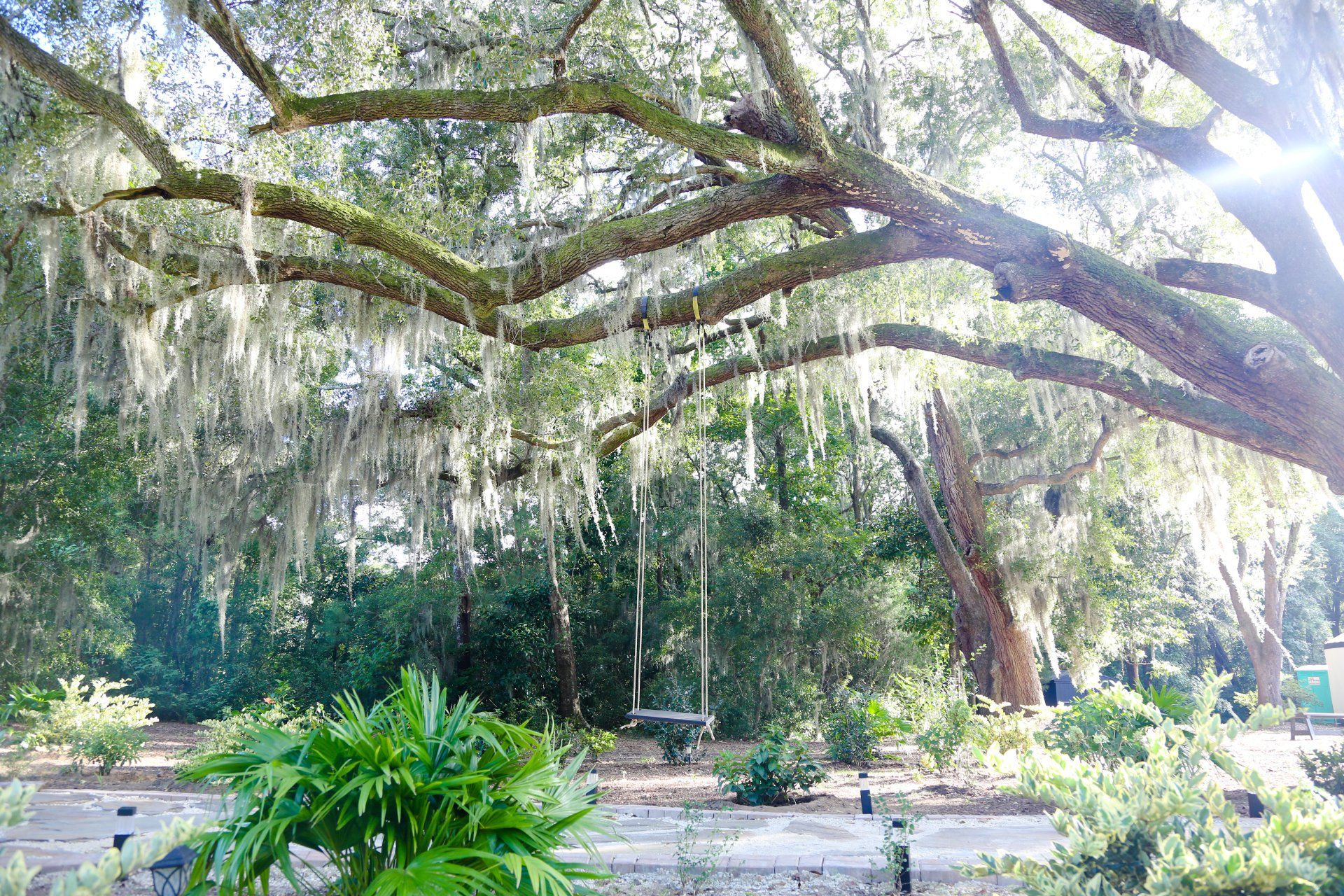 Hart Wedding at Hart Meadows Ranch Wedding and Event Venue in Charleston SC 76