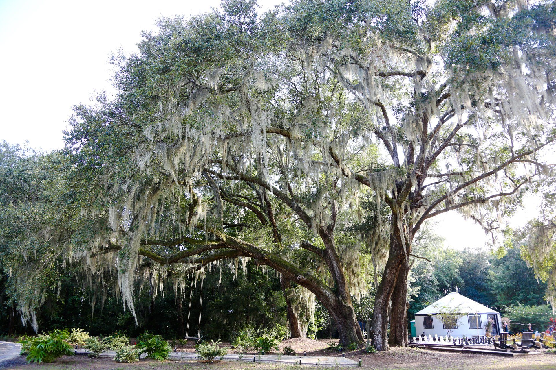 Hart Wedding at Hart Meadows Ranch wedding and event venue in charleston sc 82
