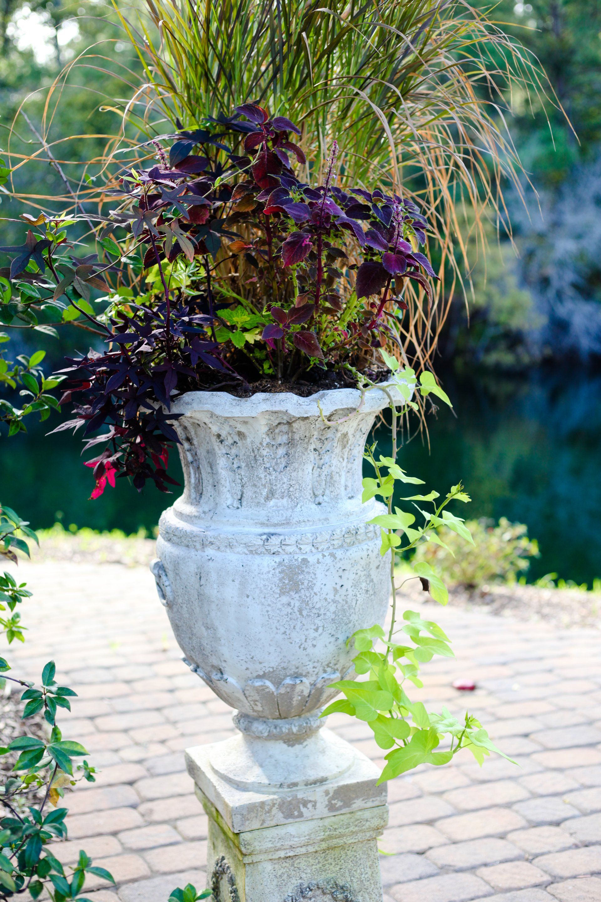 Hart Meadows Ranch wedding and event venue in charleston 93