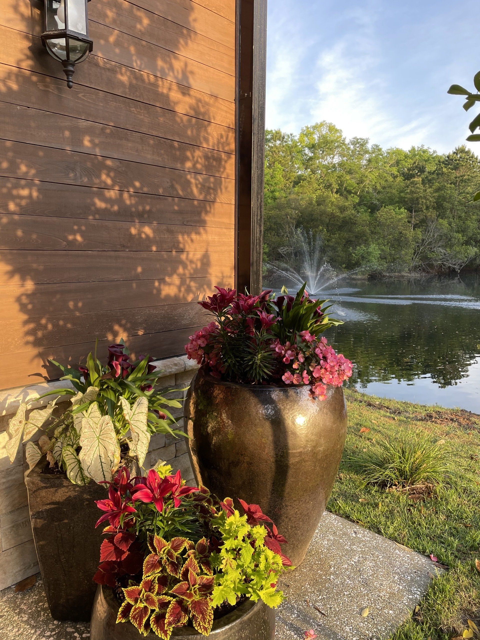 Vies of POnd at Hart Meadows Ranch Modern Event Space in Charleston