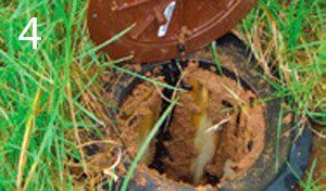 Termite Bait installed on the ground