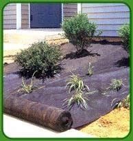 Picture Of Plants - St. Cloud, MN - Central Landscape Supply