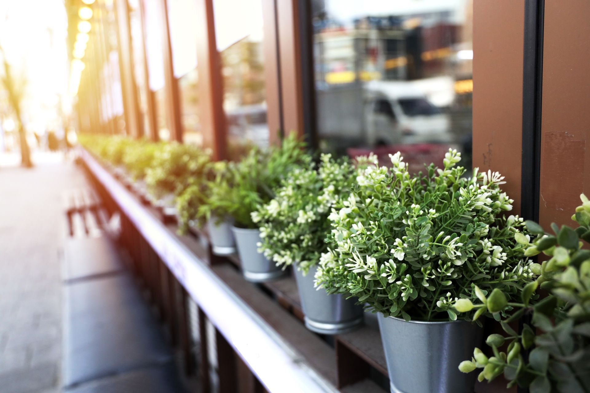 Rows of potted plants arranged on outdoor tables showcasing fresh nursery stock ready for sale. Rows of potted plants arranged on outdoor tables showcasing fresh nursery stock ready for sale.