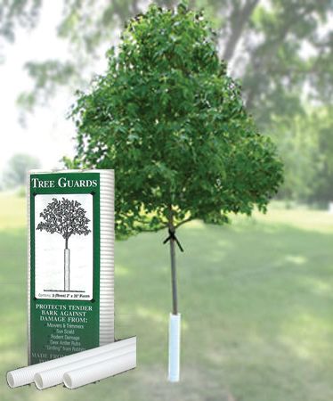 Tree in landscaped yard and lawn with tree guard showcasing landscaping supplies in Bismarck, ND.