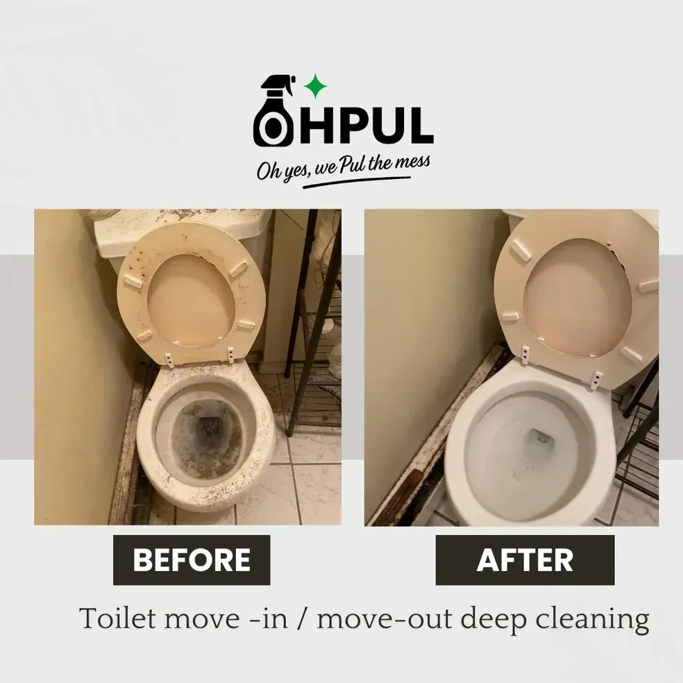 Side-by-side comparison of a toilet before and after cleaning. The