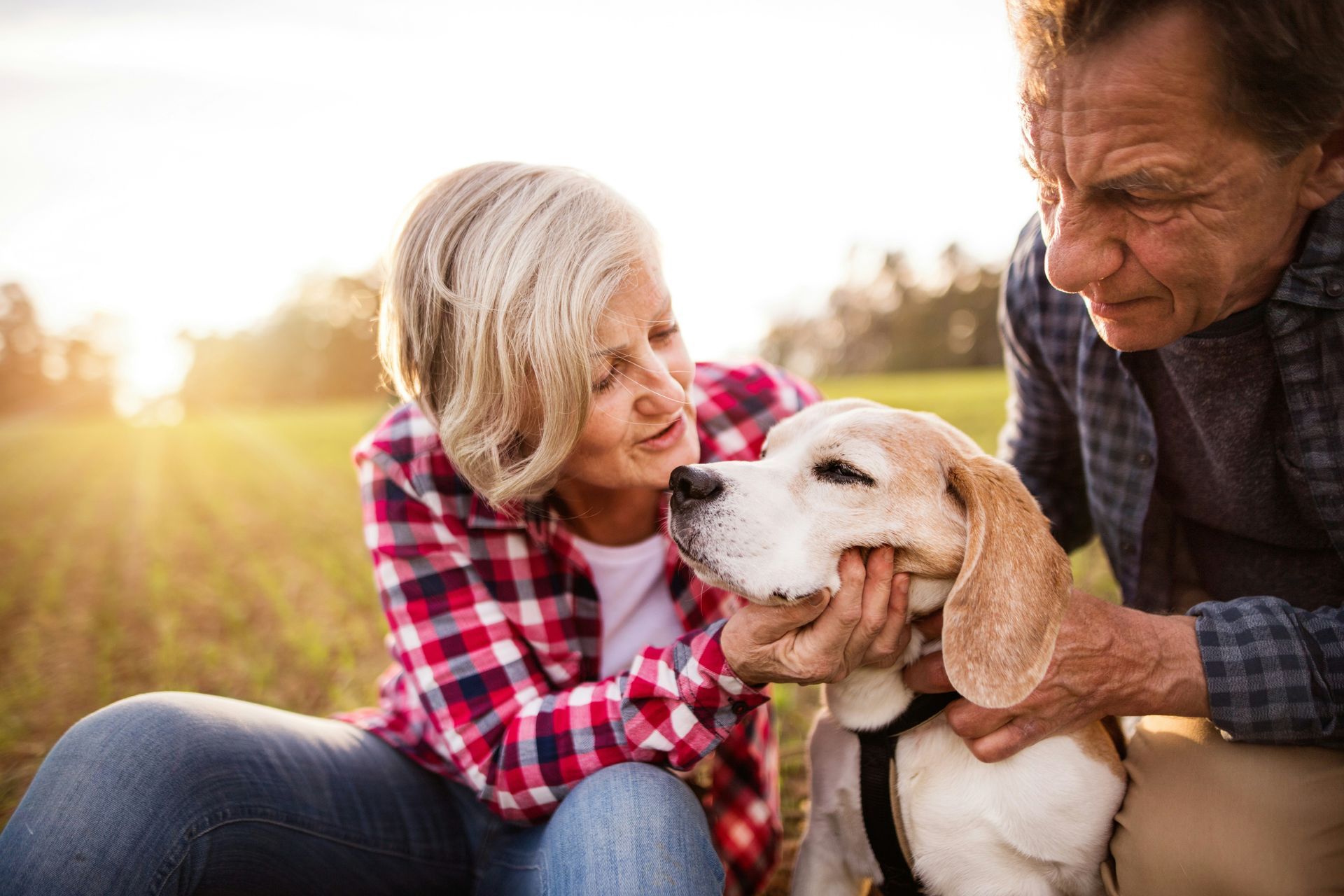 An elderly couple is petting a dog in a field.