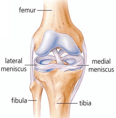 Dr Bradley Seeto Meniscal Tears Knee Pain No Gap Knee Surgery