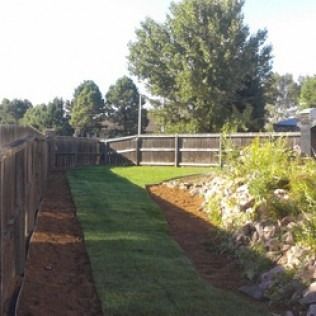 Backyard with a narrow grass path, wooden fence, landscaped rocks, and trees in bright sunlight