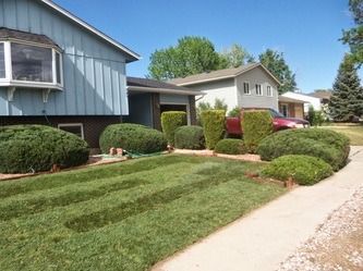 Suburban homes with neatly trimmed hedges, green lawn, and a sidewalk on a sunny day