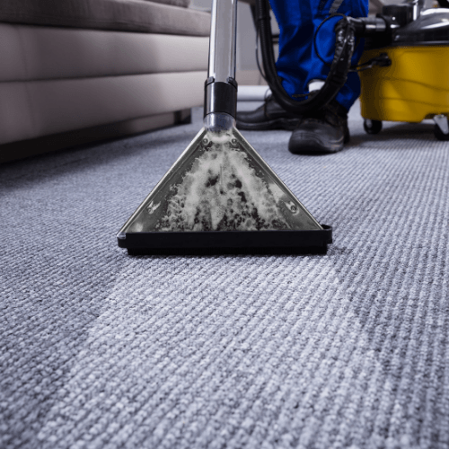 A person is cleaning a carpet with a vacuum cleaner Trinity Commercial Cleaning