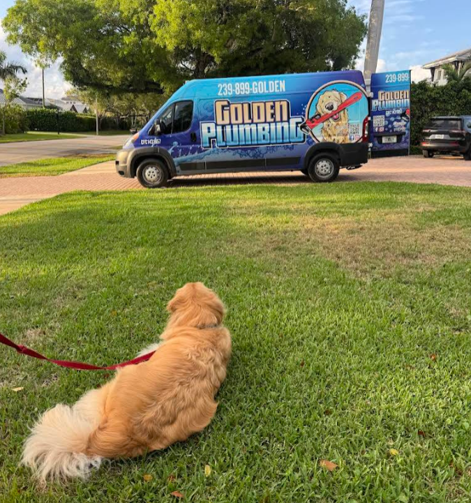 A dog is sitting in front of a golden plumbing van.
