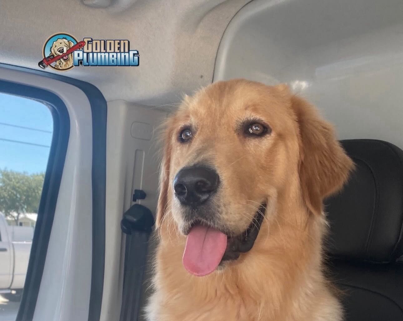 A golden retriever dog is sitting in the back seat of a van.