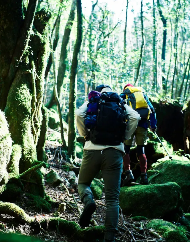 Iwate's Hidden Trails | Iwate's experience reservation site