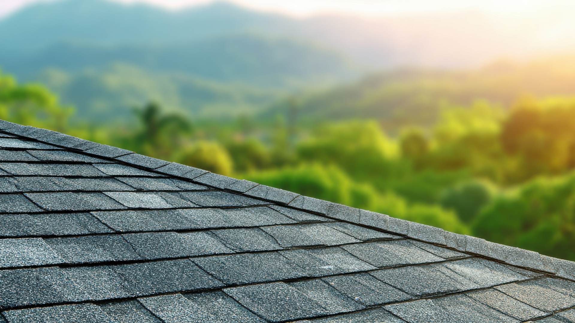 Close-up of a gray shingled roof with a blurred green forest and sunlight in the background.
