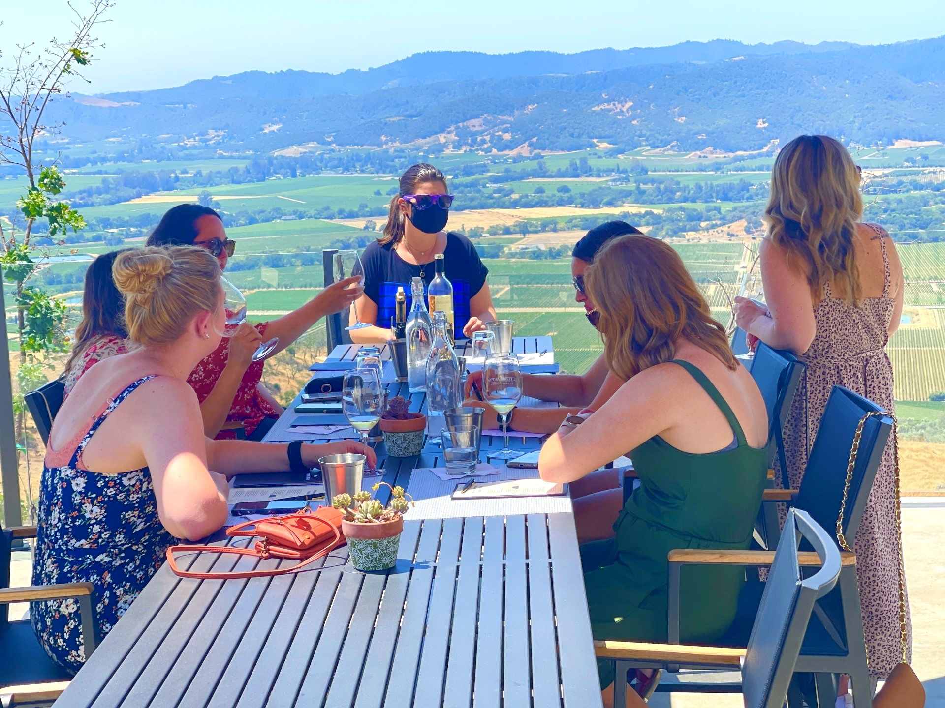 Best Napa Valley tours