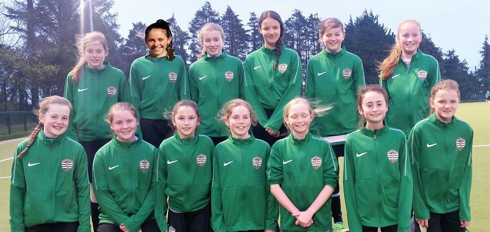 Club Gallery - Greystones United A.F.C.