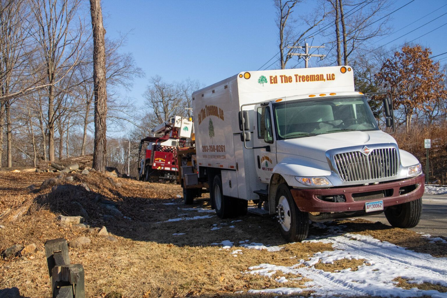 Tree Service Vehicles Waterbury