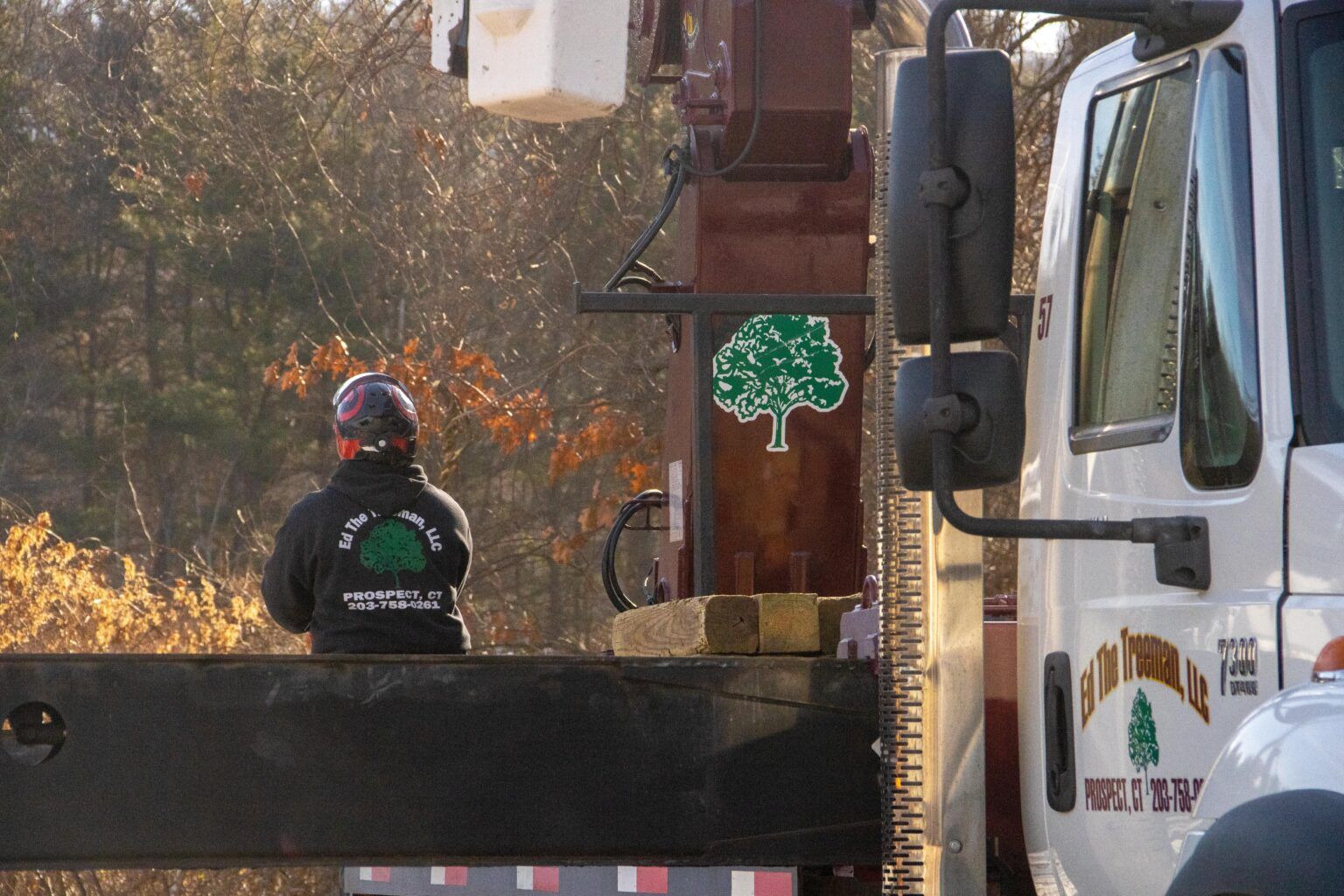 Tree Service Waterbury