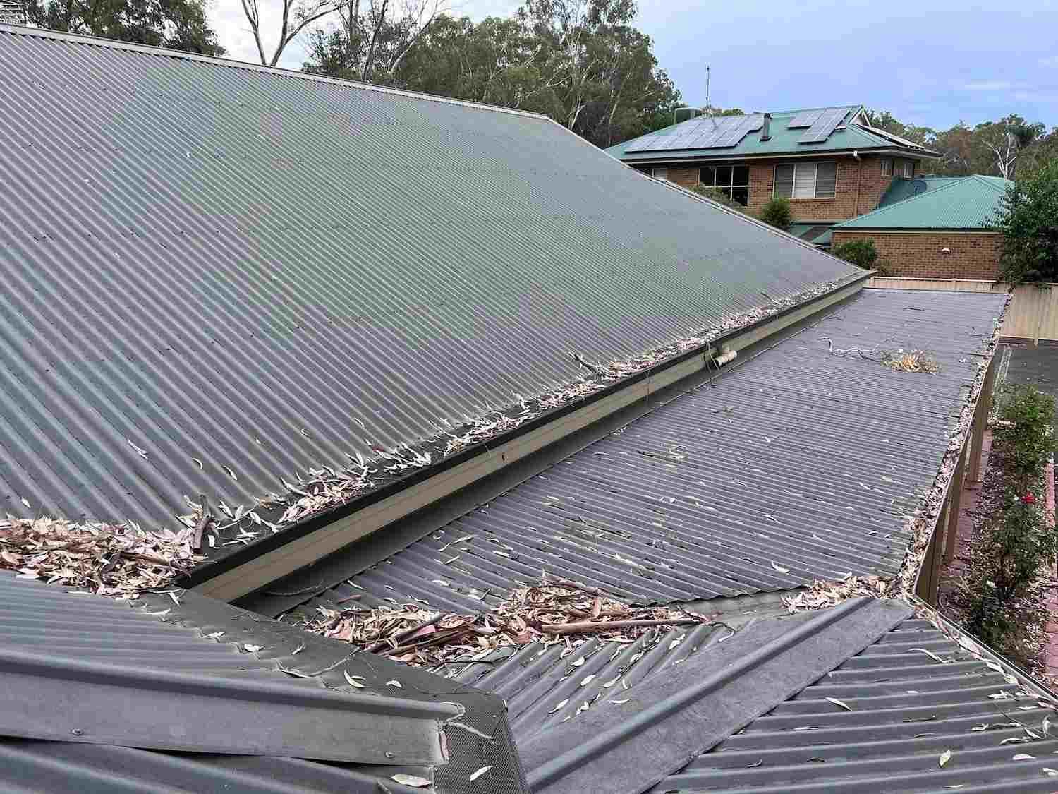 A Roof With a Lot of Leaves on It and a House in the Background — GUTTER MUNCHER In Bendigo, VIC