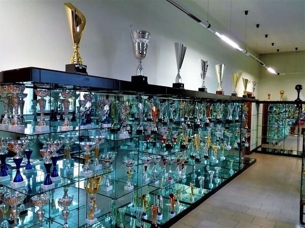 negozio coppe e trofei: coppe da premiazione