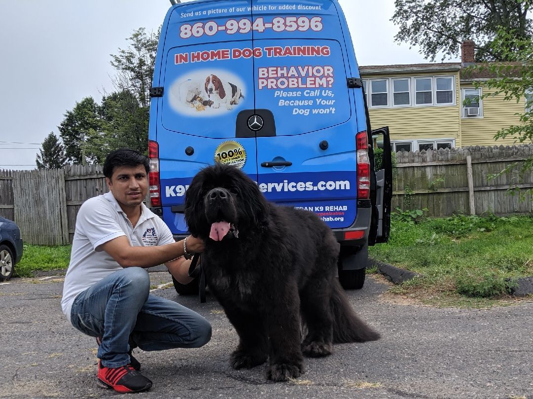 A man kneeling next to a large black dog in front of a blue van that says behavior problems