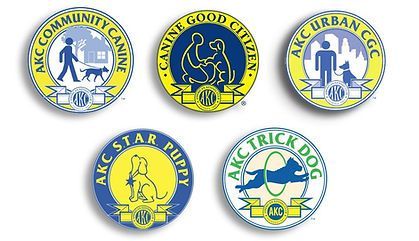 A set of badges for akc community canine canine good citizen akc trick dog and akc star puppy