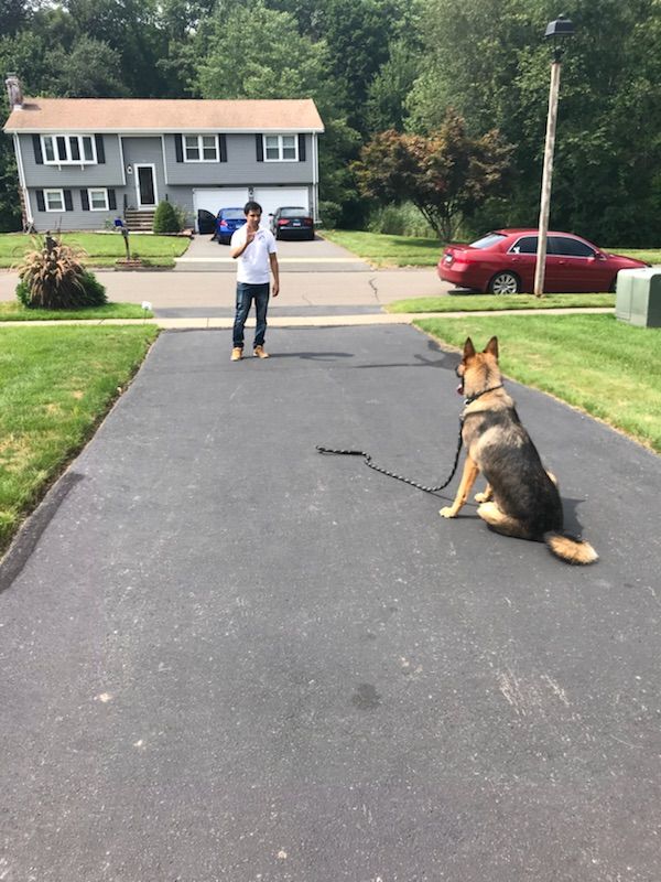 A man standing next to a german shepherd on a leash