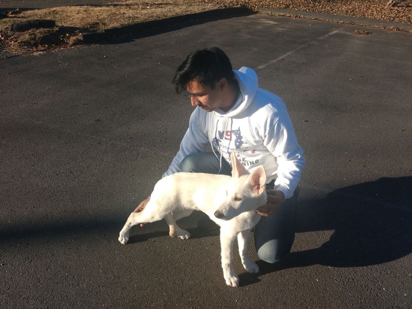 A man is kneeling down next to a small white dog