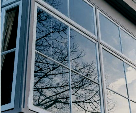 Glass windows reflecting a bare tree and overcast sky. White window frames.
