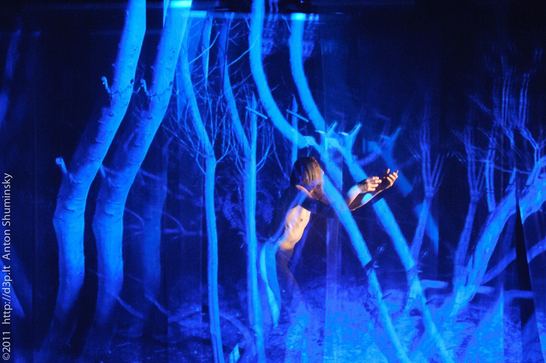 VI „Atspindys“, 2011 m.