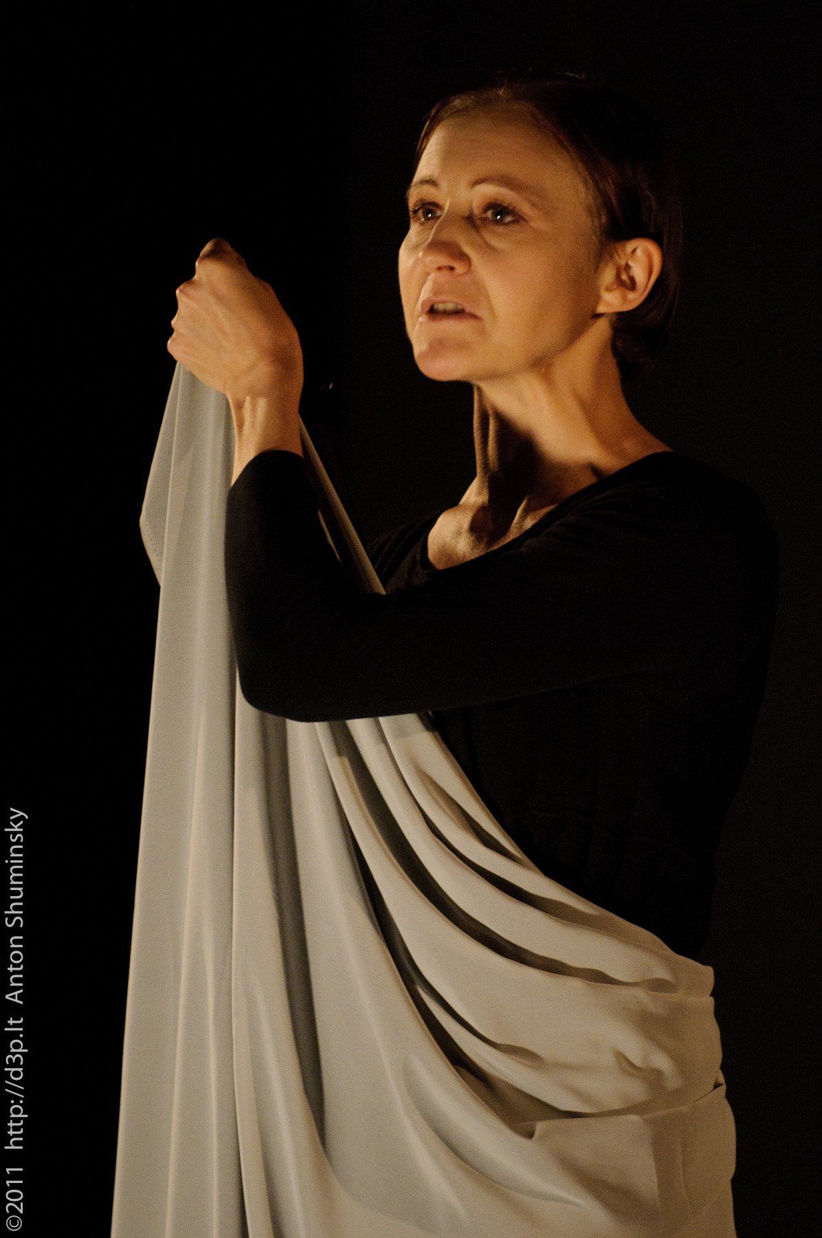 VI „Atspindys“, 2011 m.