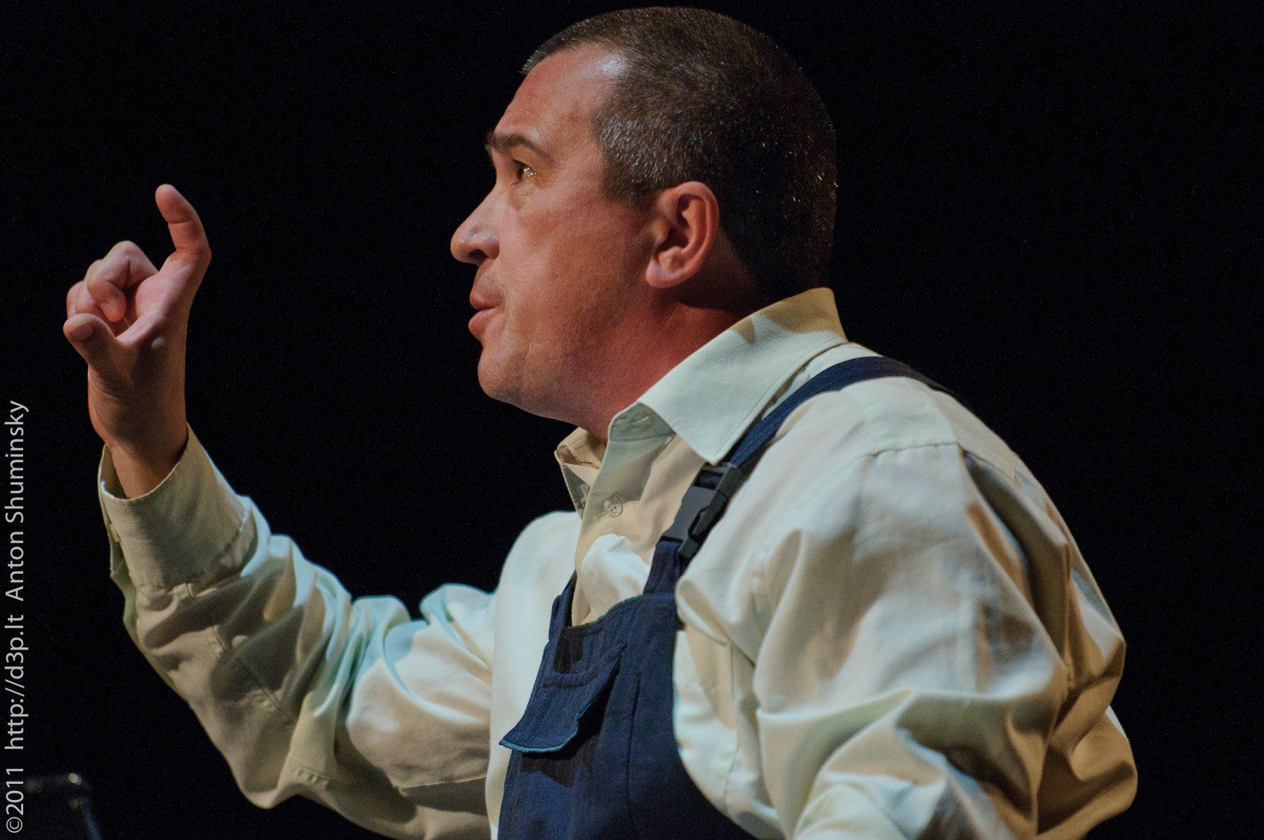 VI „Atspindys“, 2011 m.