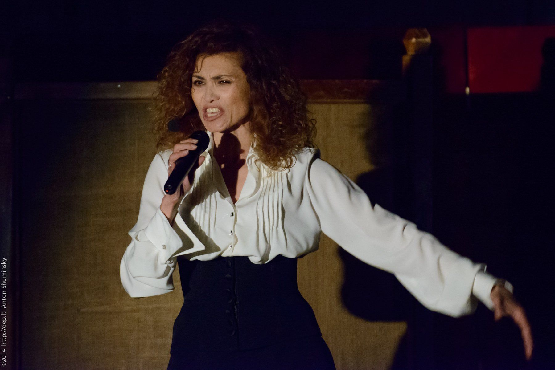 IX „Atspindys“, 2014 m.