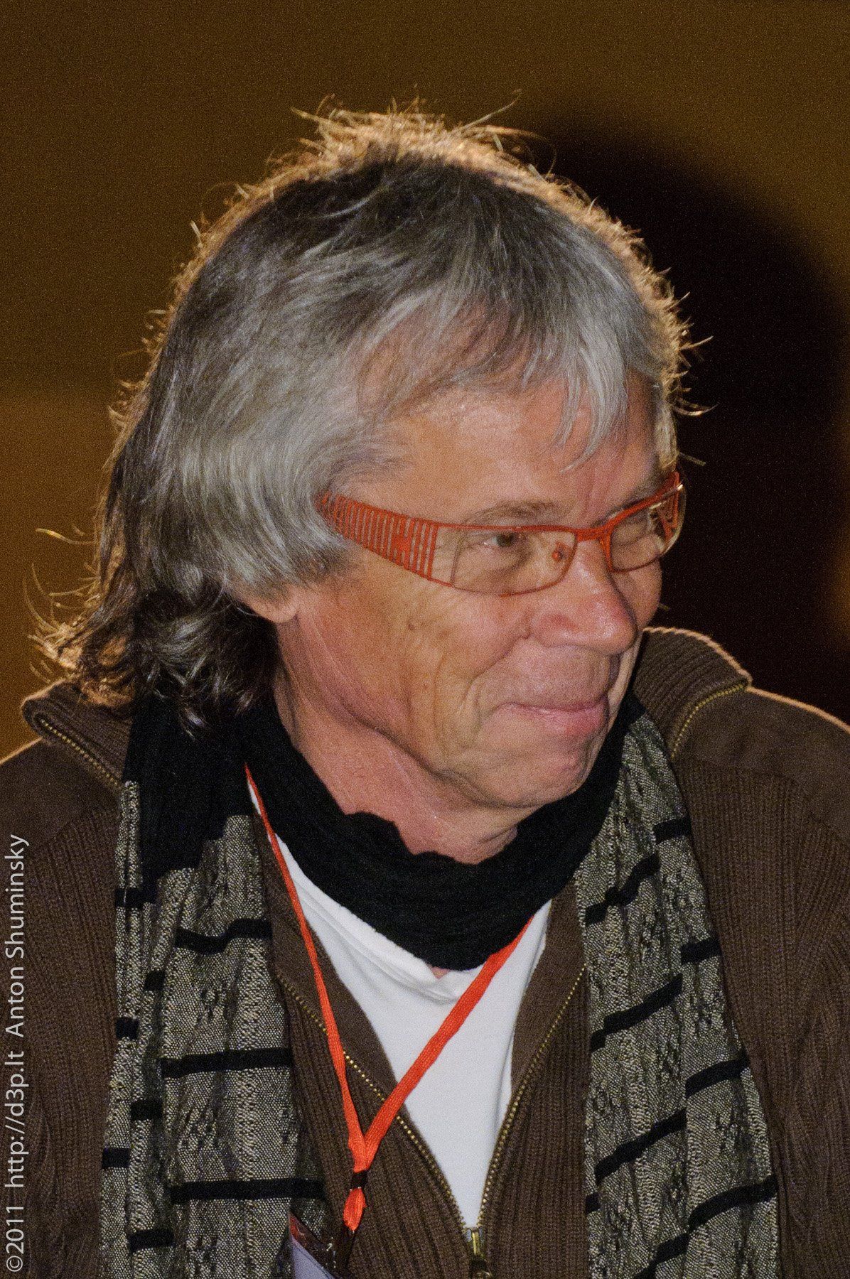 VI „Atspindys“, 2011 m.