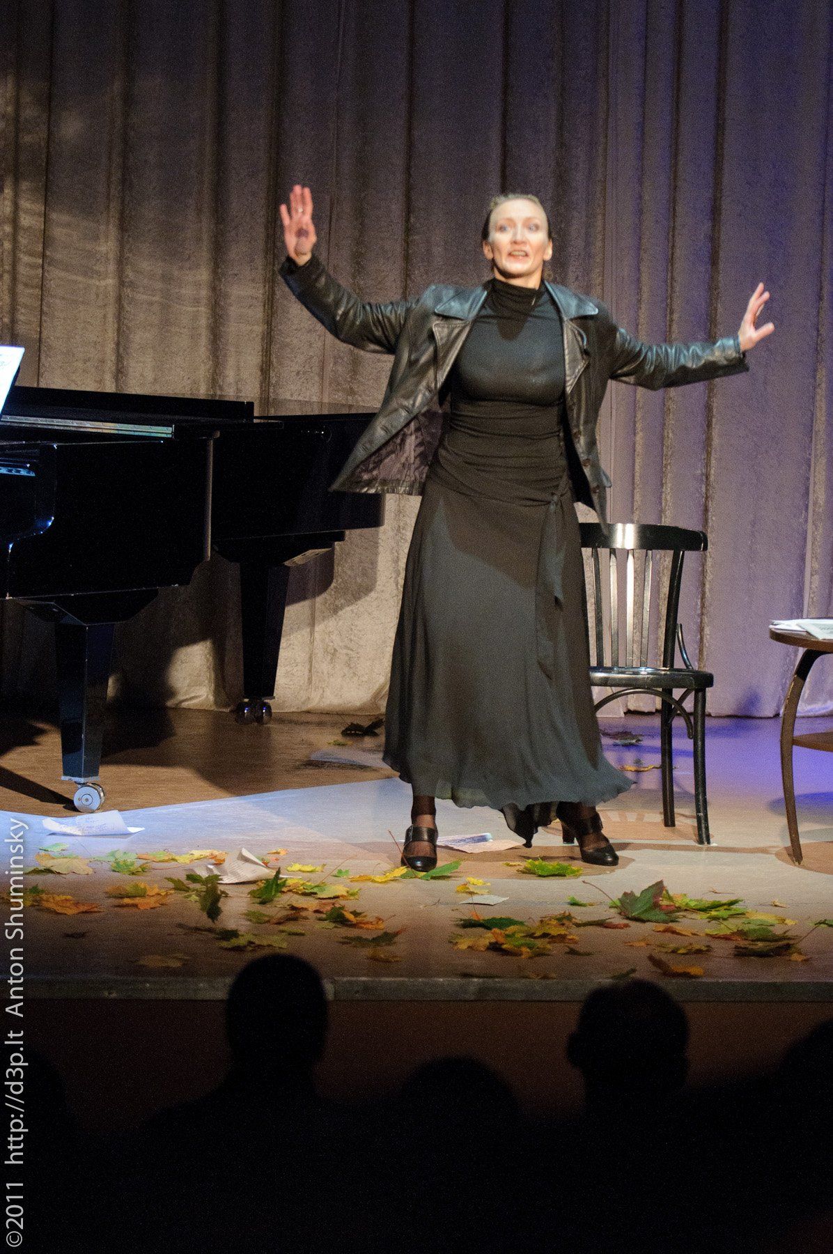 VI „Atspindys“, 2011 m.