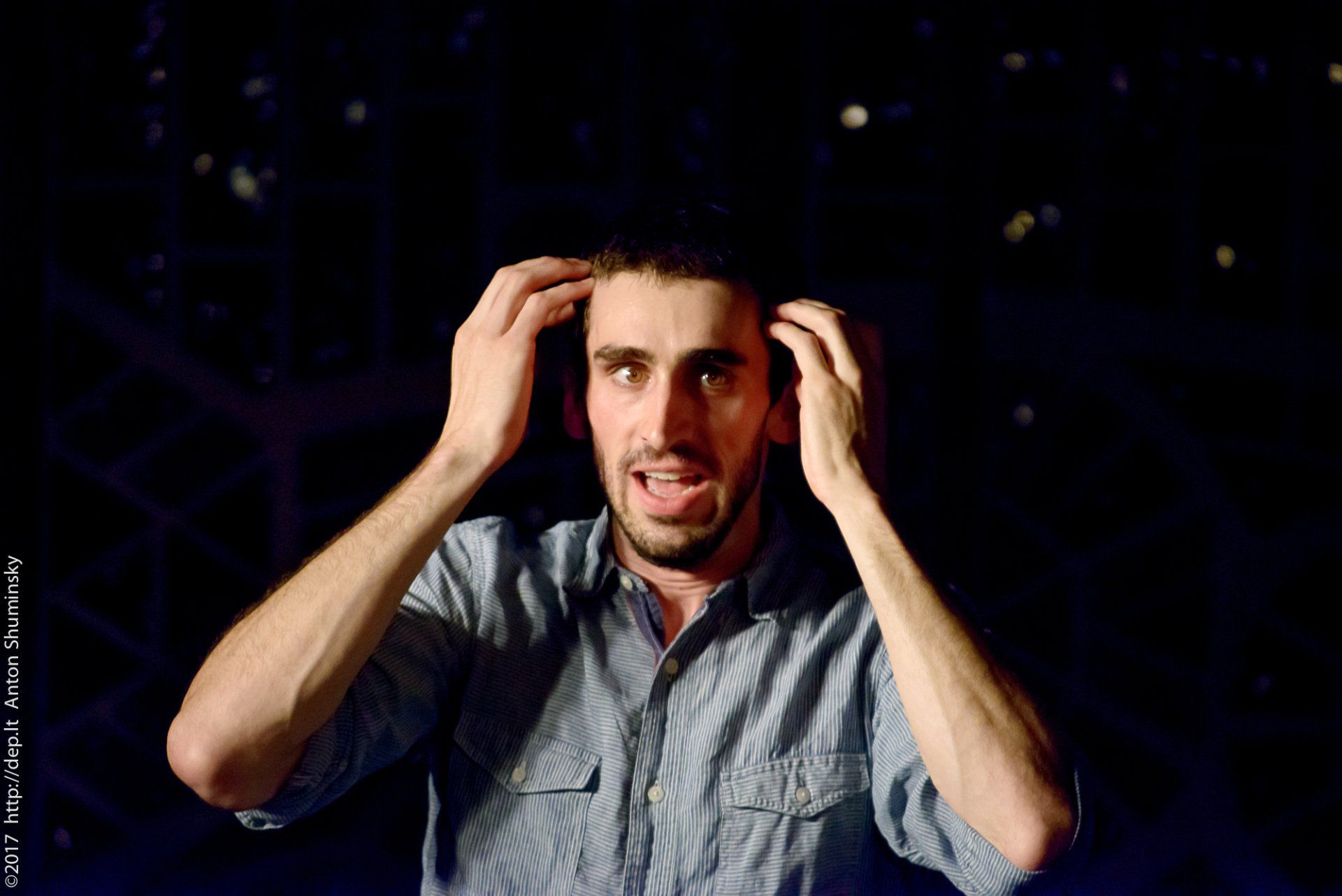 XII „Atspindys“ 2017 m.